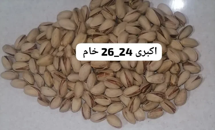 پسته اکبری خام 24-26 خندان