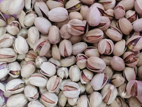 کله قوچی اونس 8-30