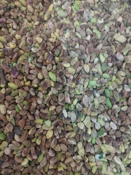 مغز پسته فندقی