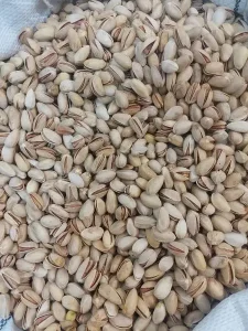 خرید پسته سیرجان