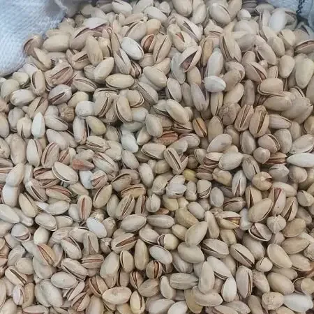 پسته