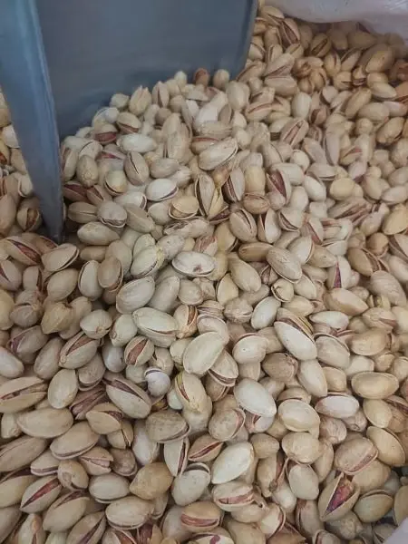 پسته احمد آقایی شور
