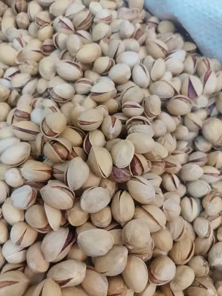 پسته فندقی