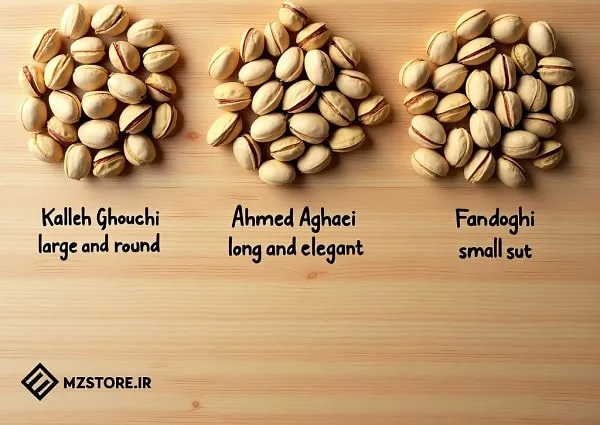 انواع پسته