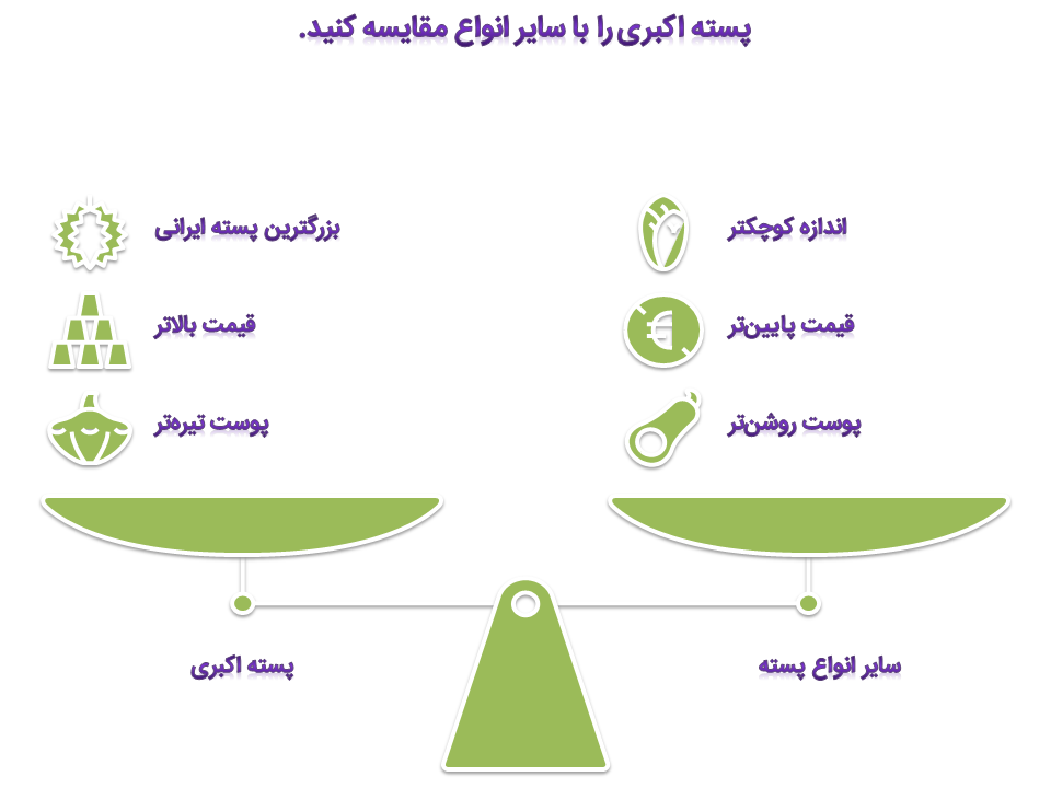 پسته اکبری را با سایر انواع مقایسه کنید 