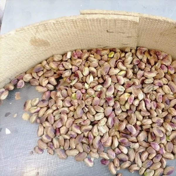 مغز پسته فندقی
