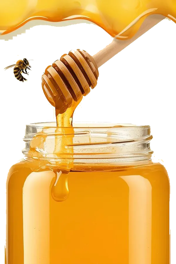 برای فروش عسل بهاره جنوب tr