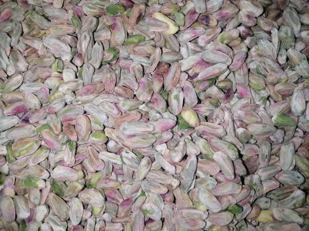 3 مغز کال