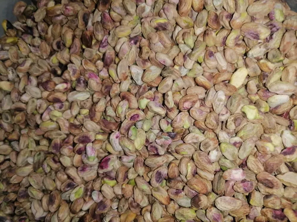 مغز پسته فندقی