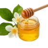honey_placed_beside_fresh-